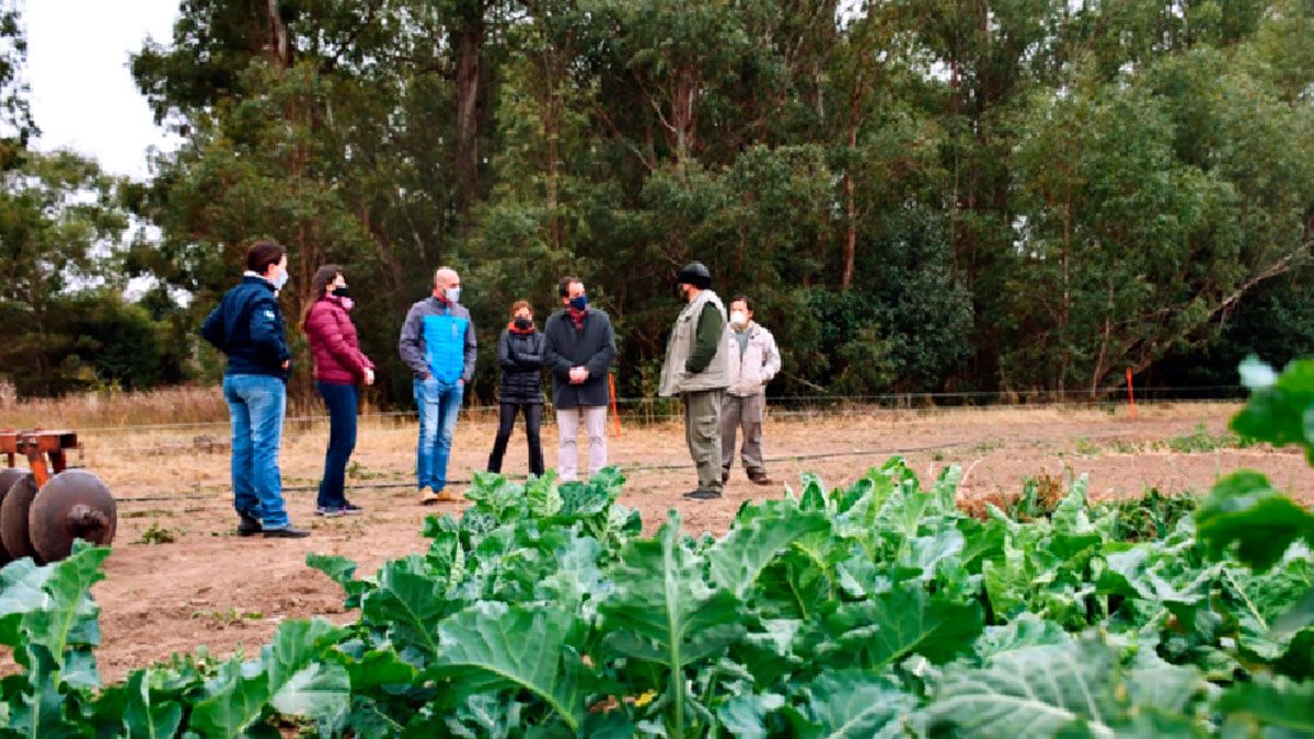 Visita A Una Huerta Agroecol Gica