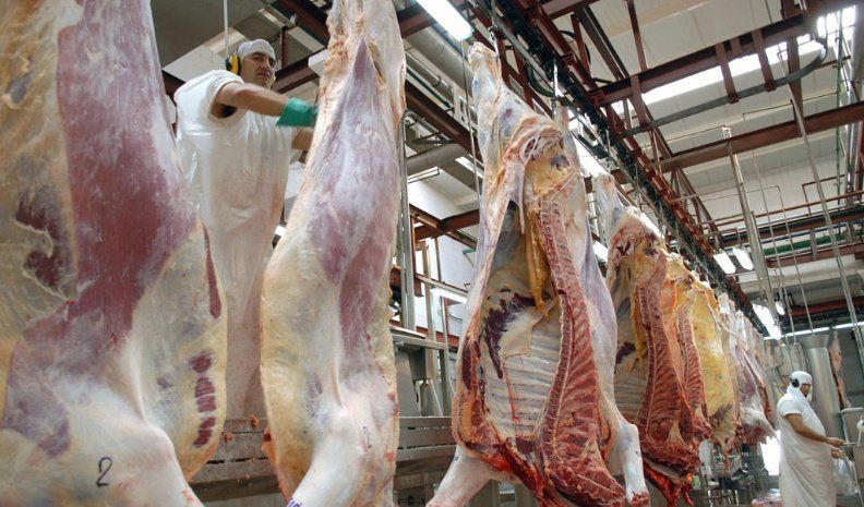 Las Exportaciones De Carne Bovina Aumentaron 69 7 Por Ciento En El Mes