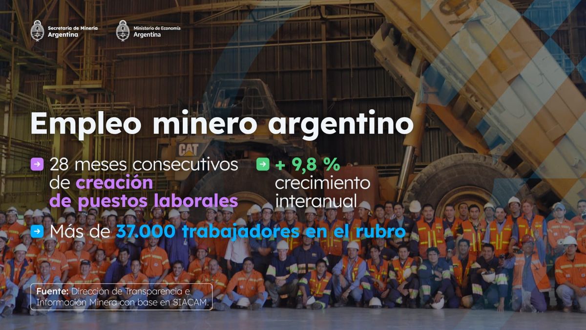 Crece La Miner A En La Argentina Y Lleva Meses Consecutivos De