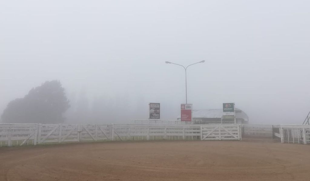 Bancos de niebla complican la visibilidad en la ciudad
