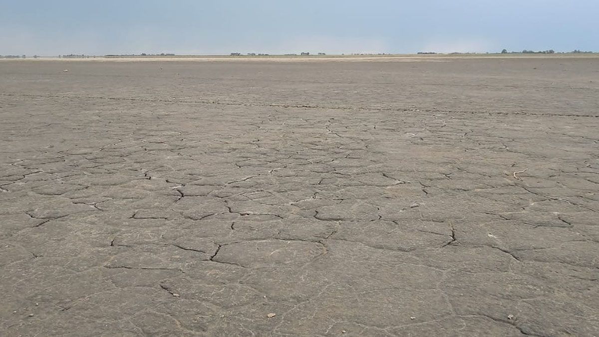 La laguna del Bajo de Fornasari hoy se asemeja a un verdadero desierto