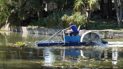 Vecinos de Villa Dalcar reclaman por falta de mantenimiento del lago