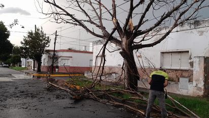Postes y cables caídos: lo que dejó el paso de la tormenta por la Villa