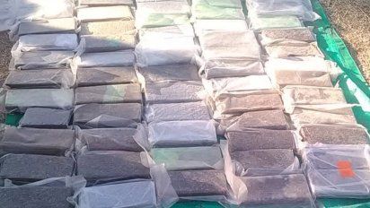 Secuestraron más de 90 ladrillos de marihuana cerca de Las Perdices