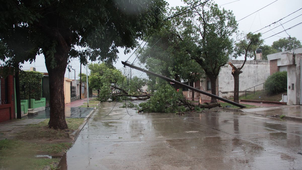 En la ciudad hubo árboles y postes caídos.