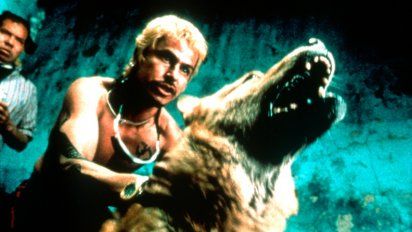 Amores perros