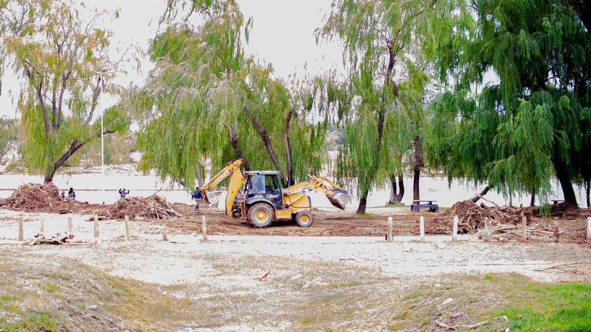 Se trabaja en la limpieza del sector Puente del Bicentenario – intendente Mugnaini retirando troncos