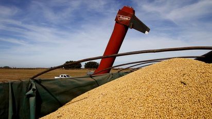 Se vendieron otras 600.000 toneladas de soja y ya acumulan casi 9 millones en 10 ruedas