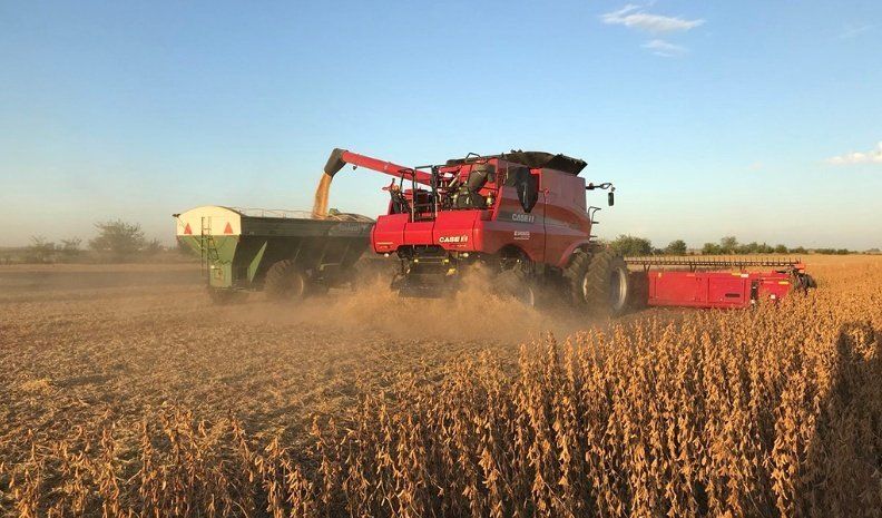 Se trata de un avance importante porque en el régimen anterior los compradores de cereales y oleaginosas debían retener a los productores y acopios el 8% de IVA.
