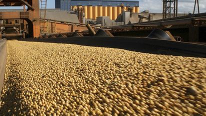 Las ventas de la agroindustria al mundo crecieron sólo 5,2% en lo que va del año