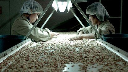 Señal al agro cordobés: habría baja en retenciones a maní, lácteos y carne