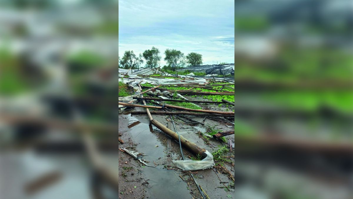 La tormenta causó importantes daños en el cinturón verde de Río Cuarto