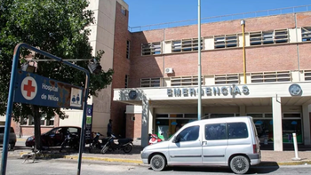 Córdoba: Un niño sufrió fractura de rostro tras ataque de dogo