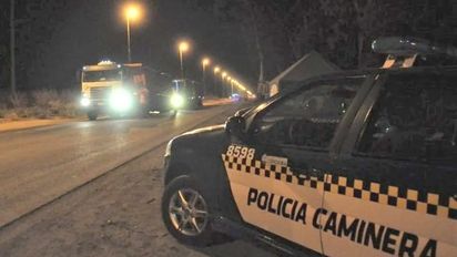Apareció muerto en la ruta: creen que fue atropellado y abandonado