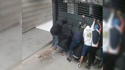 Sigue la ola de robos en complejos de la ciudad