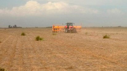 La participación del Estado en la renta agrícola tuvo una leve baja
