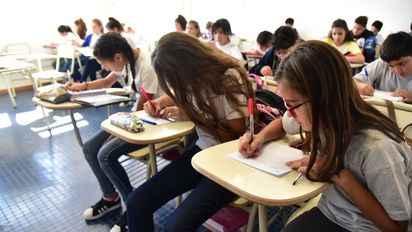 Pruebas Aprender 2024: sólo el 45% de los alumnos alcanza los niveles de lectura esperados
