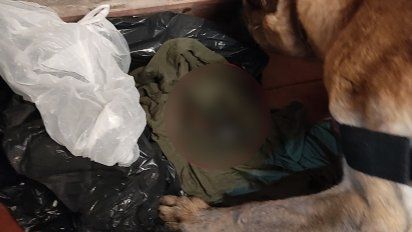Secuestro en la ciudad de arma de fuego a través de can detector