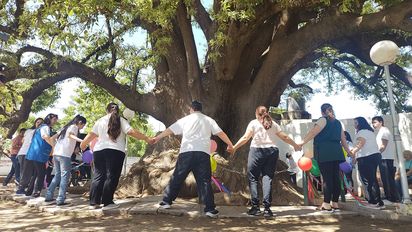 Sampacho: los 100 años del ombú que preserva la historia de la localidad