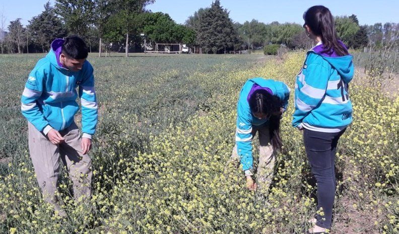 Los alumnos de séptimo años del Ipea elaborarán los productos.
