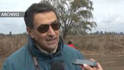 busqueda de la verdad: la ciencia vuelve a excavar en la perla
