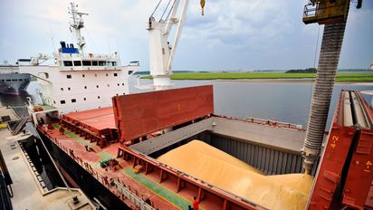 El agro exportó en diciembre 58% más que en igual mes de 2023