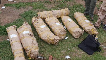 Secuestraron 32 plantas de marihuana en Alcira Gigena