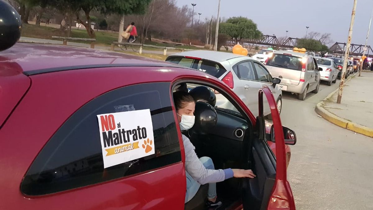Durante la movilización pidieron esclarecer los hechos de violencia contra animales.