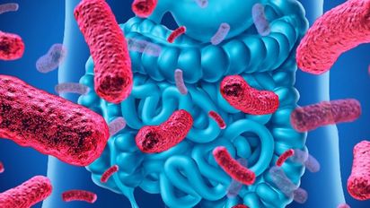 La epigenética y el cuidado de la microbiota pueden modificar la predisposición genética ante ciertas enfermedades