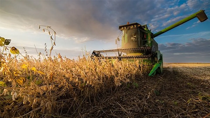 Producción agrícola bajo presión por factores climáticos y sanitarios