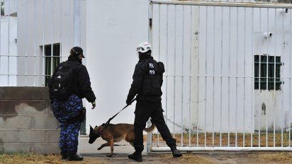 Un equipo de perros y expolicías encabezan un nuevo rastrillaje por Guadalupe