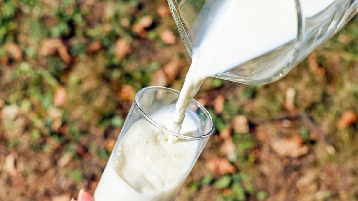 Un equipo de investigadores trabaja hace 5 años con el objetivo de desarrollar productos lácteos fortificados con calcio.