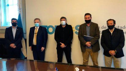 Los biocombustibles no tendrían una nueva ley, sino una prórroga de la actual