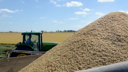El ingreso de divisas de la agroindustria subió 36% en enero y ayudó a acumular reservas