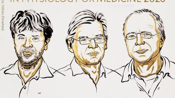 El Nobel de Medicina 2026 fue para los creadores de la optogenética, la tecnología para controlar las neuronas con luz