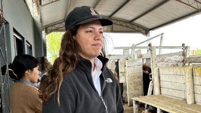 Bovinos en la Rural: 34 cabañas y 260 animales en el proceso de admisión veterinaria