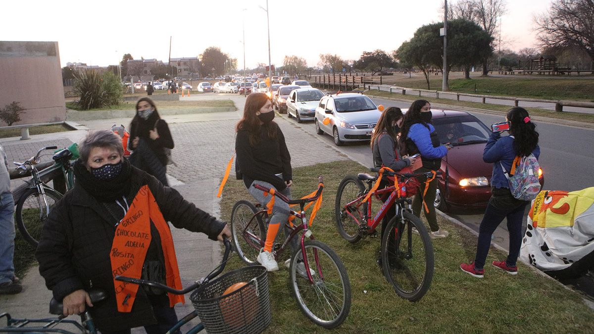 Con distintos medios de movilidad