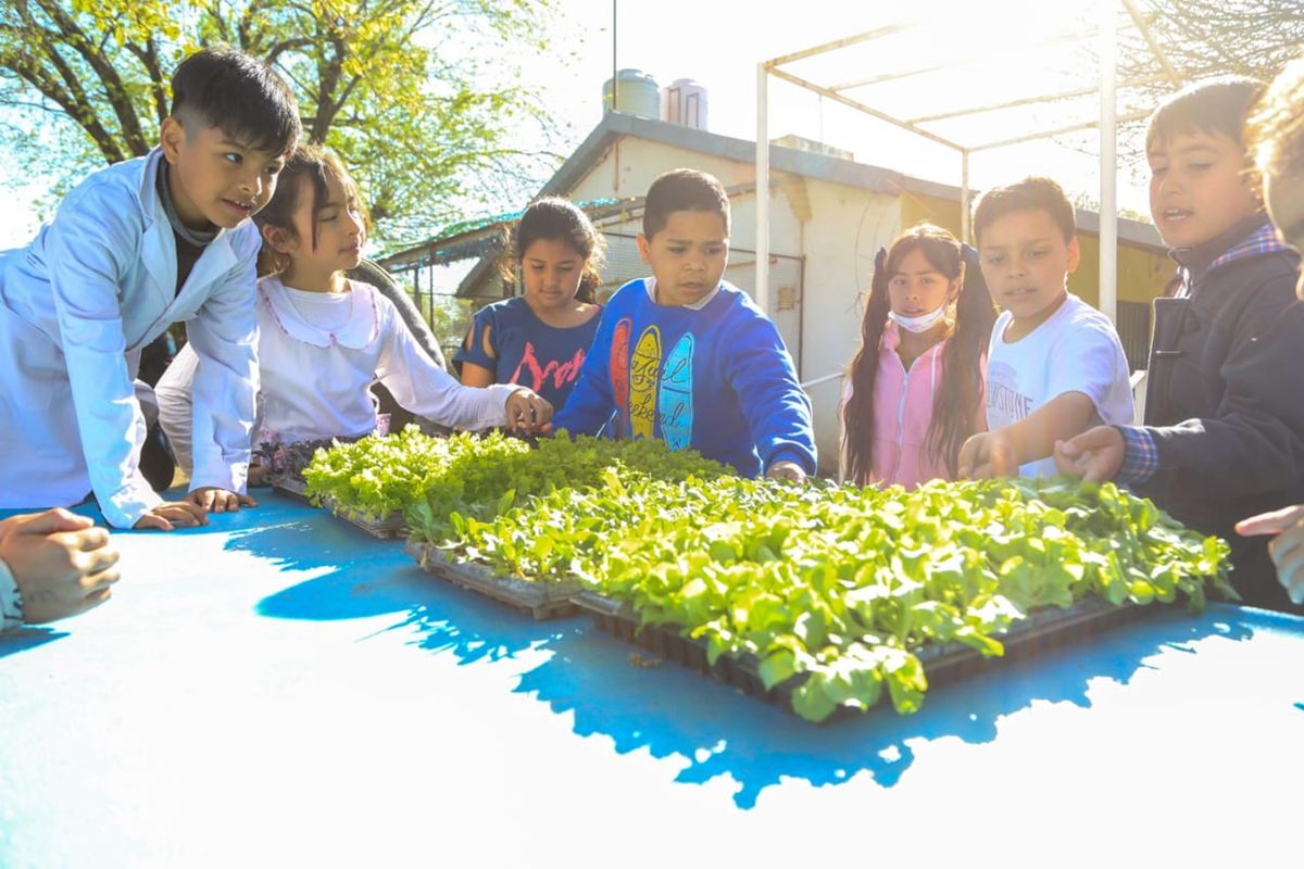 El plan Escuelas Verdes ya lleva la educación ambiental a 62 colegios
