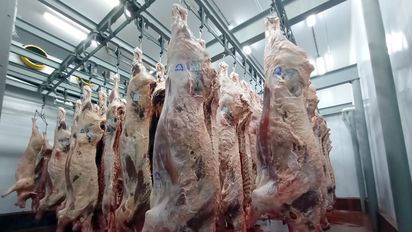 La carne está 10% más cara que en el promedio de los últimos 15 años