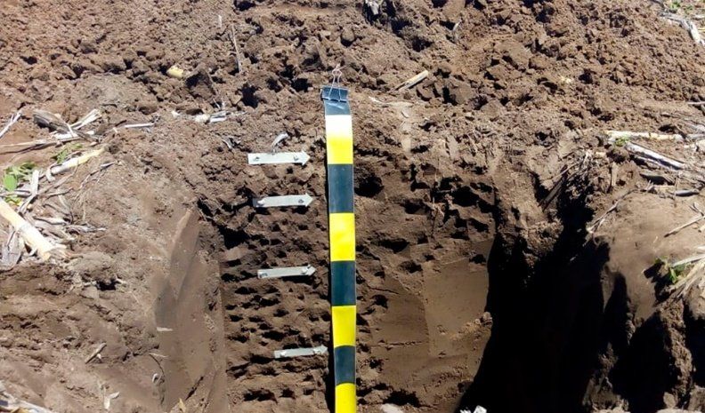 Según los especialistas, la intensificación de la agricultura tiene fuerte incidencia sobre las napas freáticas.