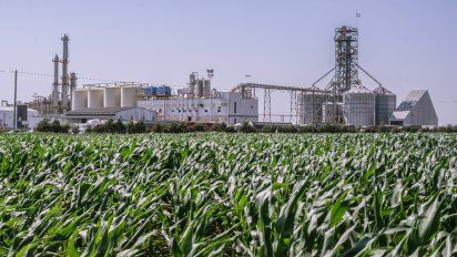 Bioenergía: un Gobierno a contramano de su pueblo