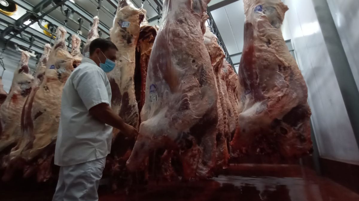 El Ministerio de Agricultura estableció los criterios para la distribución de 29.389 toneladas de carne bovina para exportación de la denominada Cuota Hilton.