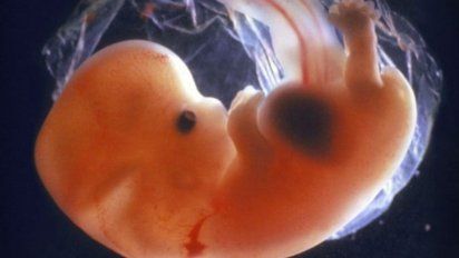 El status del embrión humano frente al aborto