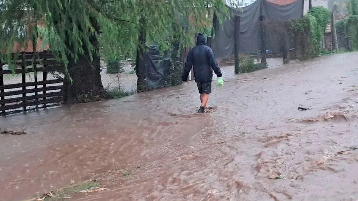 amba temporal