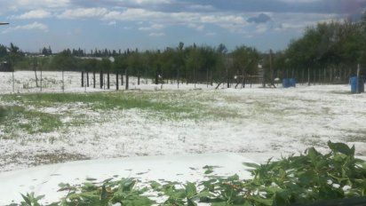 Intensa caída de granizo en Alcira Gigena