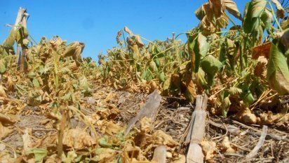 La Nación avaló la declaración de Emergencia Agropecuaria en Córdoba
