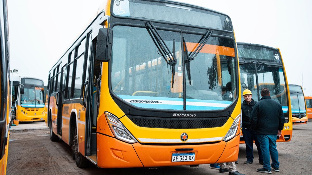 El gobierno de Córdoba señaló que la decisión es mejorar la frecuencia de los recorridos de las unidades.