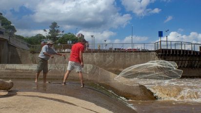 Pesca en zona de las compuertas: 