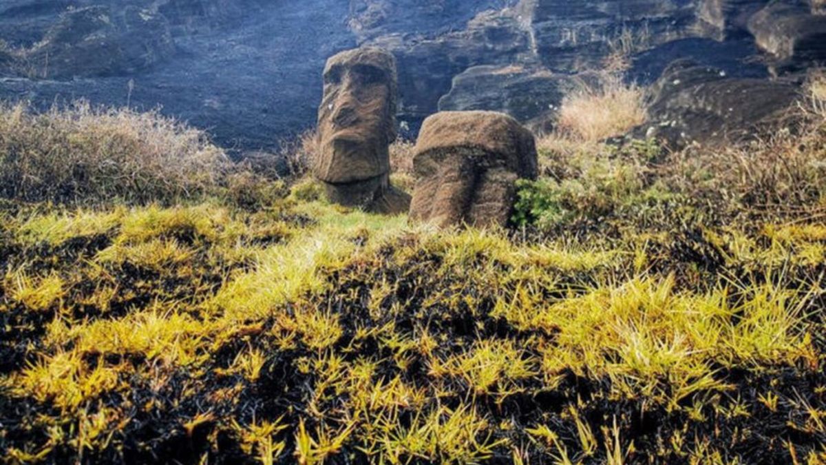 El incendio forestal queafectó a inicios de octubre a la Isla de Pascua