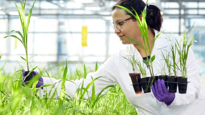 Bayer, y una batería de anuncios para revolucionar la agricultura en 10 años
